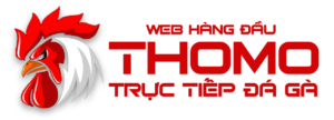 thomocpc1 logo12 13/06/2026
